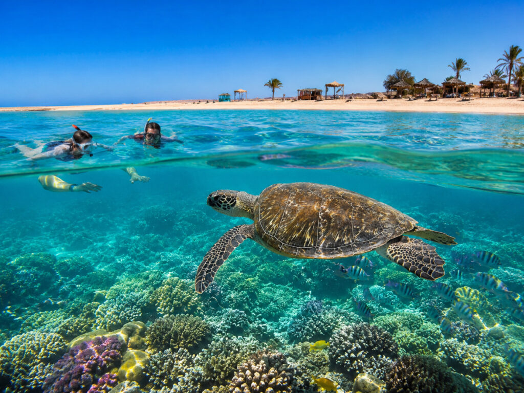 Abu Dabbab Marsa Alam