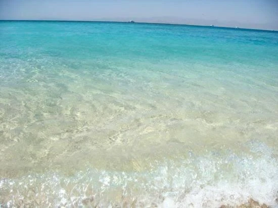 Enjoy a private Dolphin Trip Hurghada by speed boat with Dolphin House area visit, snorkeling, coral reefs, white sandbank, and Red Sea views.