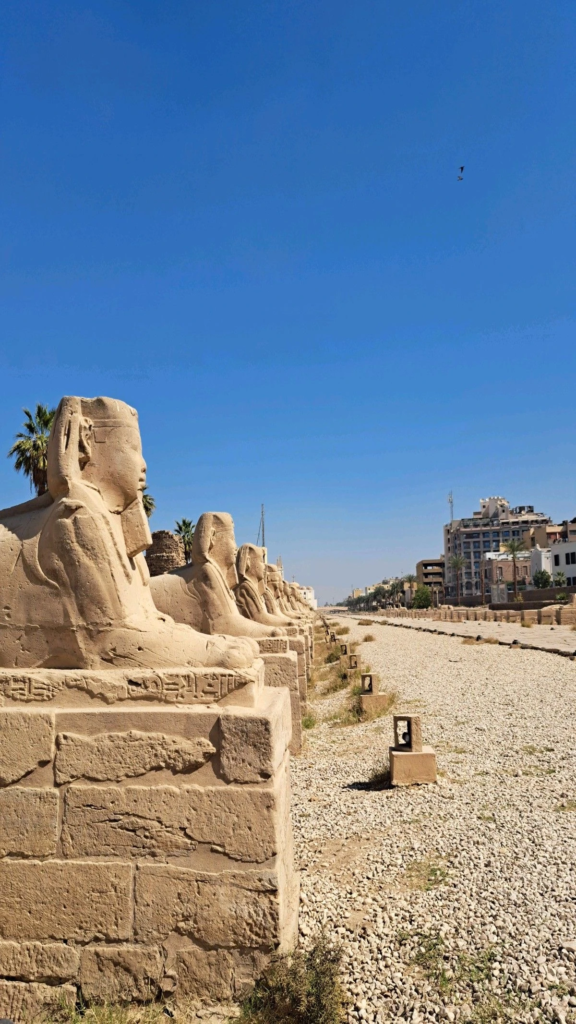 Visit Luxor from Hurghada and explore ancient temples, historical sites, the Nile atmosphere, and Egypt’s most famous archaeological treasures.