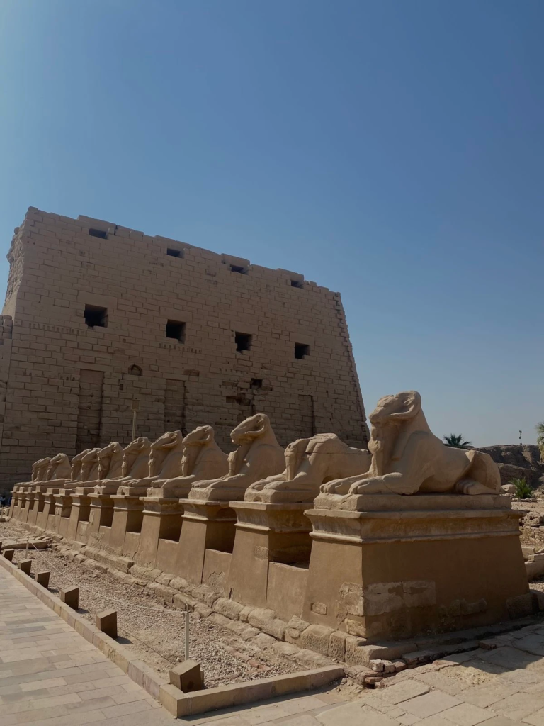 Visit Luxor from Hurghada and explore ancient temples, historical sites, the Nile atmosphere, and Egypt’s most famous archaeological treasures.