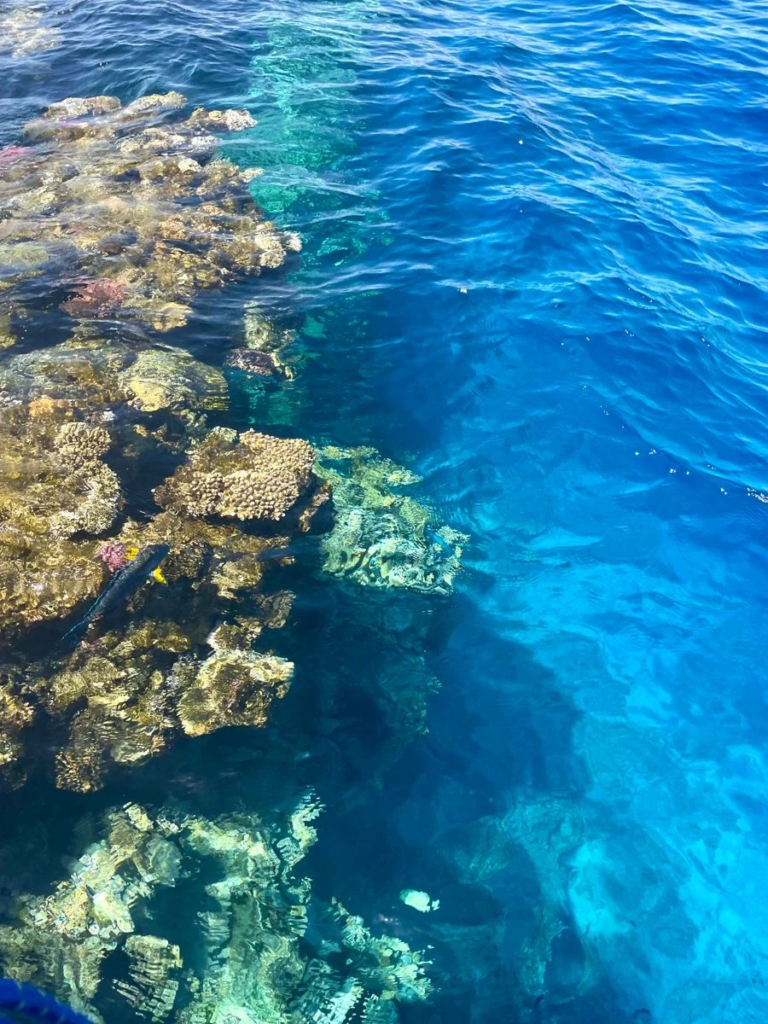 Enjoy a private Orange Bay boat trip from Hurghada with beach time, snorkeling, turquoise water, soft drinks, and a relaxed Red Sea experience.