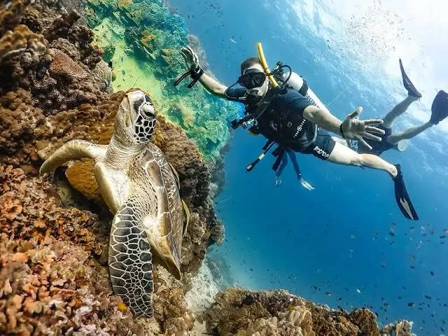 Experience scuba diving in Hurghada with professional guidance, diving equipment, colorful coral reefs, tropical fish, and beautiful Red Sea underwater views.