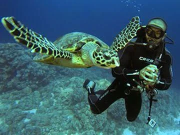Experience scuba diving in Hurghada with professional guidance, diving equipment, colorful coral reefs, tropical fish, and beautiful Red Sea underwater views.
