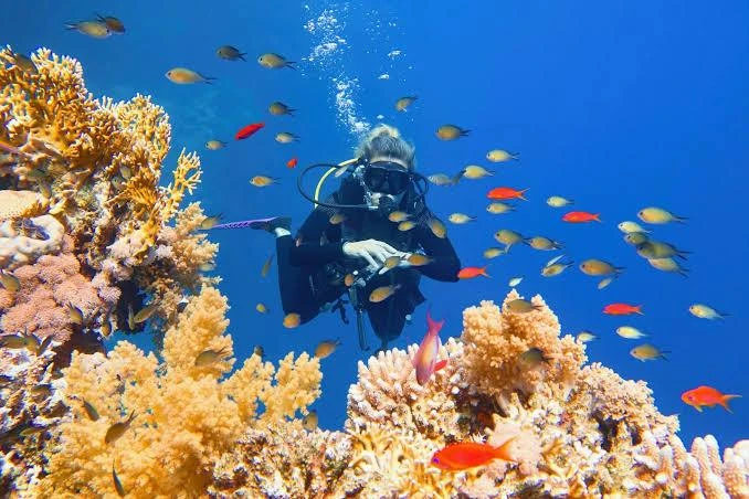 Experience scuba diving in Hurghada with professional guidance, diving equipment, colorful coral reefs, tropical fish, and beautiful Red Sea underwater views.