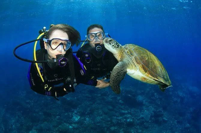 Experience scuba diving in Hurghada with professional guidance, diving equipment, colorful coral reefs, tropical fish, and beautiful Red Sea underwater views.