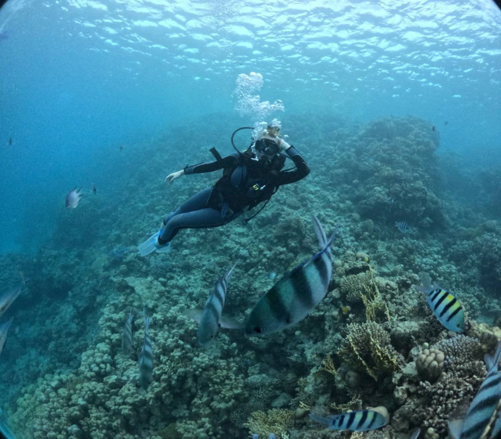 Experience scuba diving in Hurghada with professional guidance, diving equipment, colorful coral reefs, tropical fish, and beautiful Red Sea underwater views.