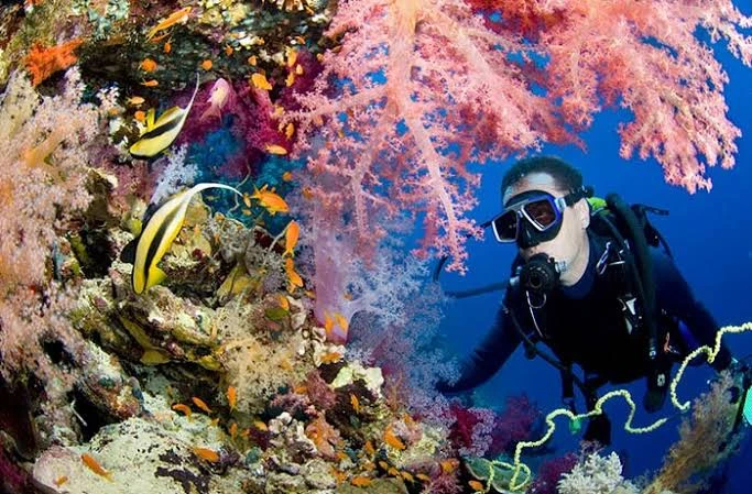 Experience scuba diving in Hurghada with professional guidance, diving equipment, colorful coral reefs, tropical fish, and beautiful Red Sea underwater views.
