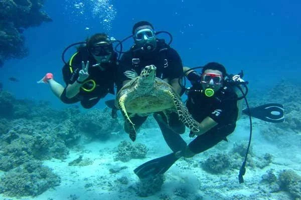 Experience scuba diving in Hurghada with professional guidance, diving equipment, colorful coral reefs, tropical fish, and beautiful Red Sea underwater views.