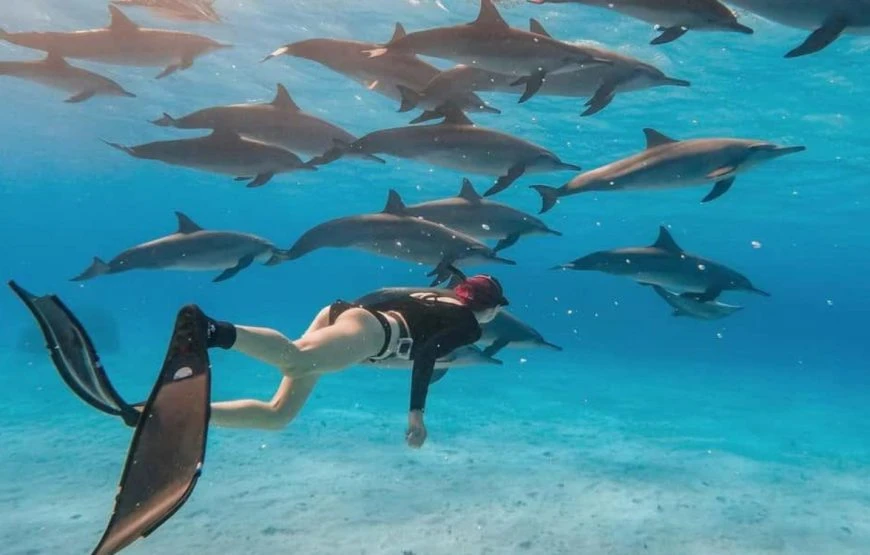 Experience scuba diving in Hurghada with professional guidance, diving equipment, colorful coral reefs, tropical fish, and beautiful Red Sea underwater views.